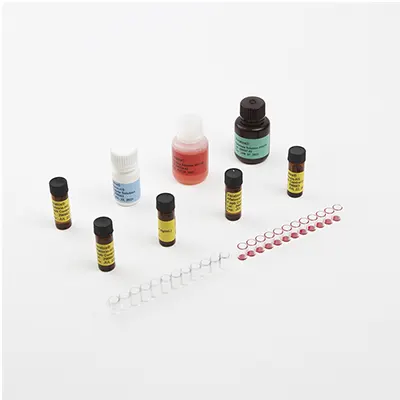 8031 Veratox for Aflatoxin HS (High Sensitivity)